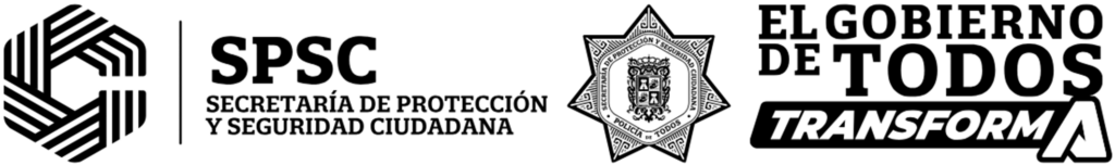 8 1